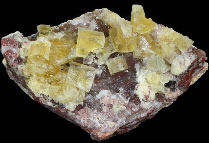 Lustrous, Yellow Cubic Fluorite Crystals - Morocco #44891